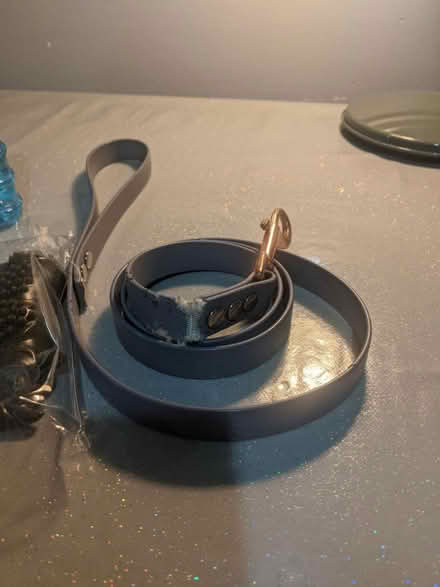 Photo of free Dog bundle (EH5, Granton, Edinburgh) #4