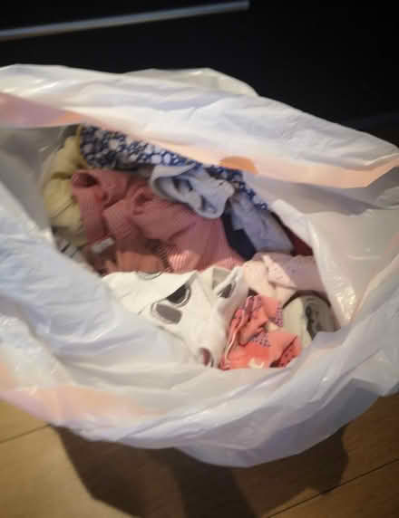 Photo of free 9-12months baby girl clothes (Bradford on Avon BA15) #2