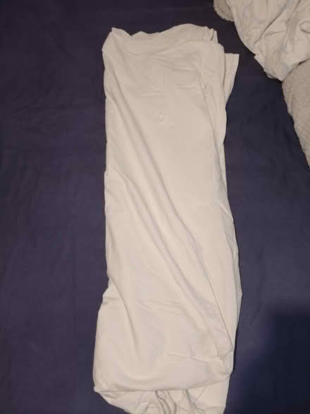 Photo of free Double Mattress bedsheet (SW15) #1