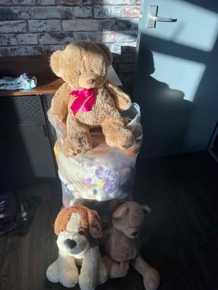 Photo of free Teddy bundle (Thringstone LE67) #1