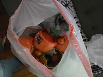 Photo of free Bag of Halloween Decorations (Aurora near Prisco Center) #2
