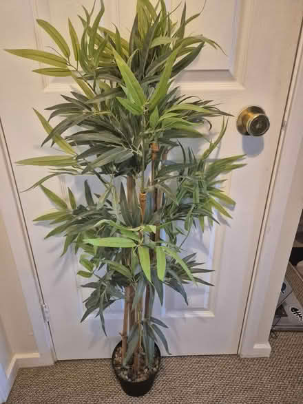 Photo of free Artificial plant (Westbourne PO10) #1