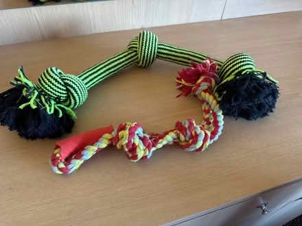 Photo of free Dog toys (Woodmancote GL11) #1