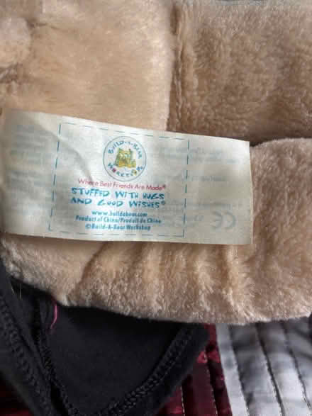 Photo of free Build-a-bear girl (Kippington TN13) #2