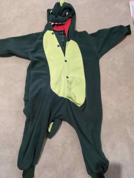 Photo of free Dragon/dino costume (North Fremont/union City area) #1