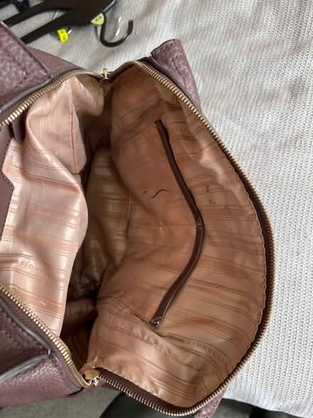 Photo of free Fiorelli backpack/handbag (TN39 Bexhill) #2