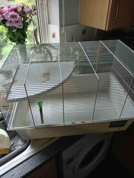 Photo of free Hamster cage (Winnersh RG41) #1