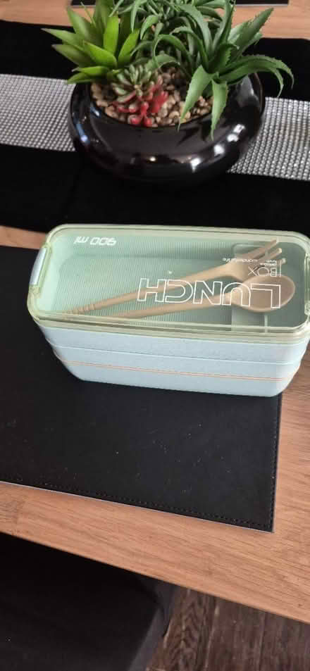 Photo of free Lunch container (thornton heath) #1