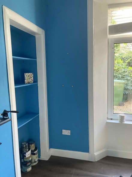 Photo of free House paint that needs an artist! (Lochend EH6) #4