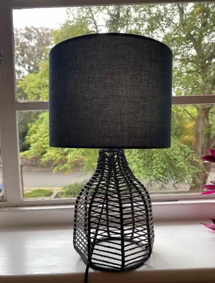 Photo of free Lamp with shade and bulb (Jesmond NE2) #1