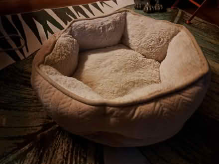 Photo of free Fleece Cat Bed (Brightwood-Takoma) #1