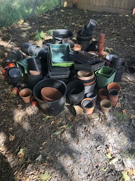 Photo of free Plastic plant pots (Lyneham OX7) #1