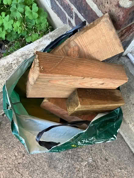Photo of free Bag of sold wood off cuts (Hastings, TN35) #1
