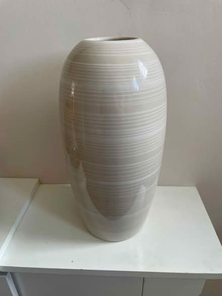 Photo of free Tall cream vase (Ladywell SE4) #1
