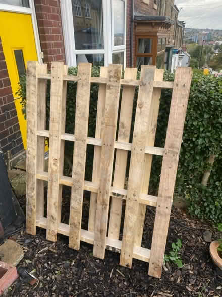 Photo of free One pallet, approx 1m sq (Heeley, S2) #1