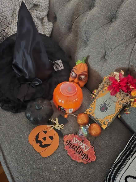 Photo of free Bag of Halloween Decorations (Aurora near Prisco Center) #1