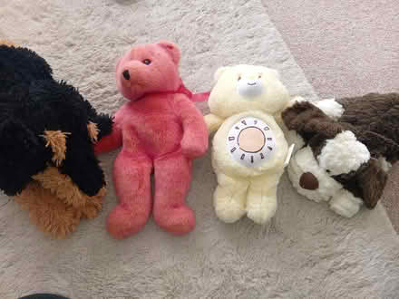 Photo of free Soft toys (MK41) #1
