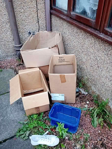 Photo of free Boxes (EH12 Saughtonhall) #1