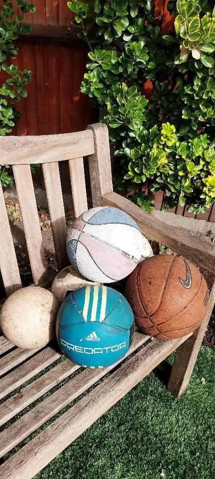 Photo of free Balls (Sandy Lane GU14) #1