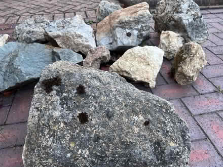 Photo of free Assortment of large rockery rocks (DE13 7AP) #2