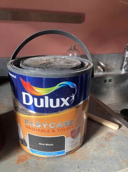 Photo of free House paint that needs an artist! (Lochend EH6) #2