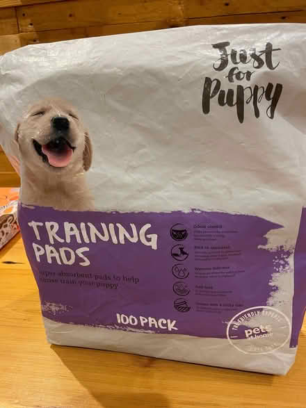 Photo of free Puppy training pads (University of Bath) #1