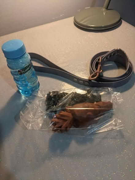 Photo of free Dog bundle (EH5, Granton, Edinburgh) #1