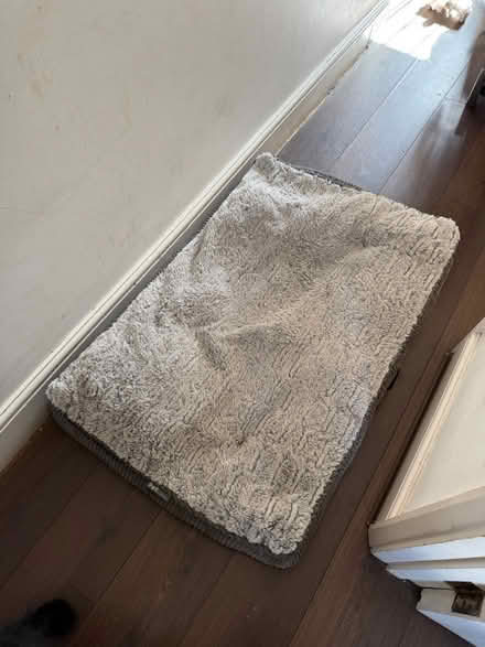 Photo of free Petface memory foam dog bed (Hackney E8) #1