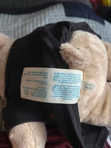 Photo of free Build-a-bear girl (Kippington TN13) #3