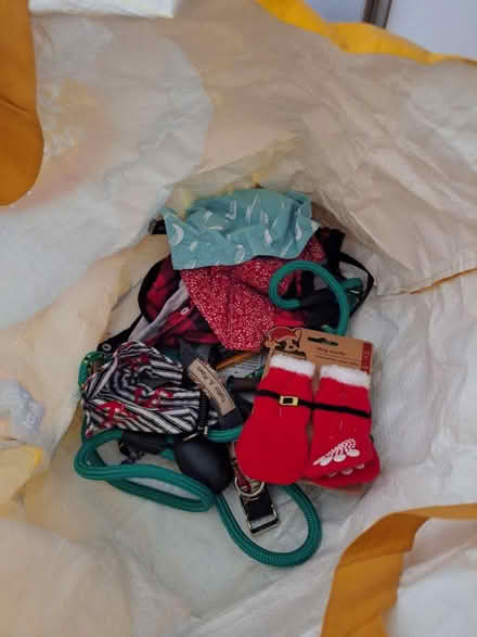 Photo of free Dog stuff (BN41) #1