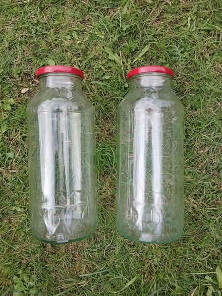 Photo of free Pickling jars (Dawlish EX7) #1