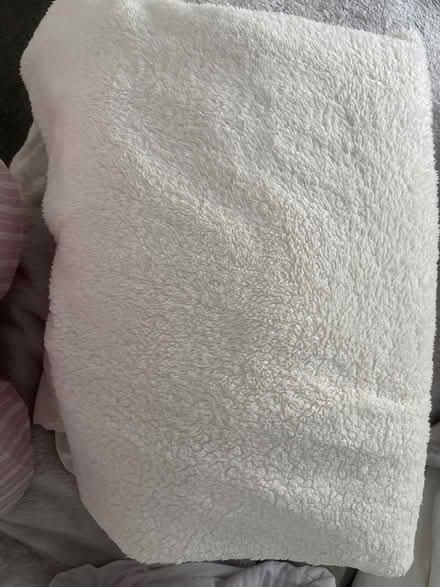 Photo of free Double fluffy sheet (SW11 Battersea) #1