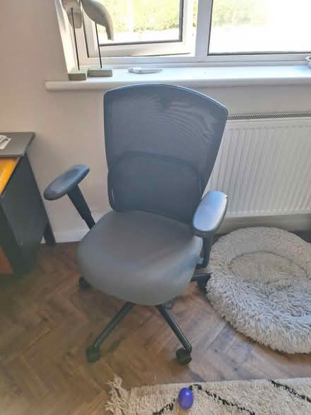 Photo of free Office chair (BN41) #1
