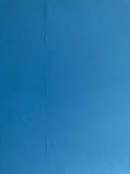 Photo of free House paint that needs an artist! (Lochend EH6) #3