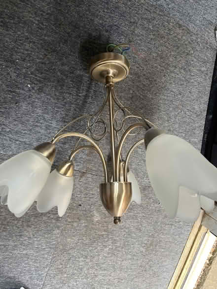 Photo of free Ceiling light (GU22) #2