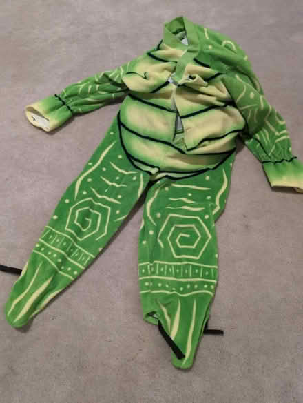 Photo of free Turtle costume (North Fremont/union City area) #1