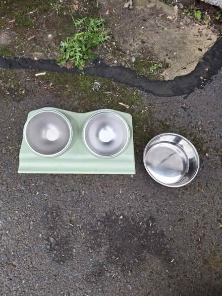 Photo of free Cat bowls (BN41) #2