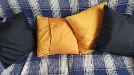 Photo of free Elephant cushions (Chichester Lavant PO18) #1