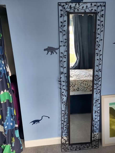 Photo of free Tall mirror (South Oxford OX4) #1