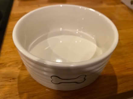 Photo of free Dog bowl (WN4) #2