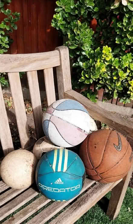 Photo of free Balls (Sandy Lane GU14) #2