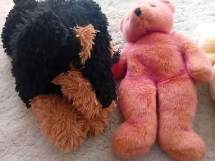 Photo of free Soft toys (MK41) #2