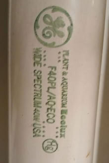 Photo of free florescent growlights w fixtures 10 (Hurley (loop road off of 209)) #2