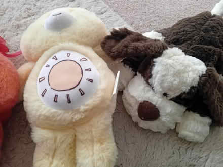 Photo of free Soft toys (MK41) #3