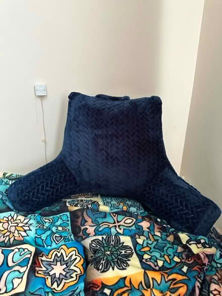 Photo of free Sitting cushion (LU5 5HX) #1