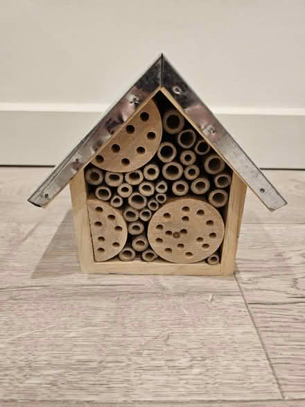 Photo of free Insect House (West Hendon NW9) #1