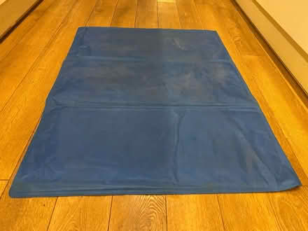 Photo of free Dog cooling mat (WN4) #2