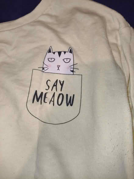 Photo of free Hoodie (SW15) #3