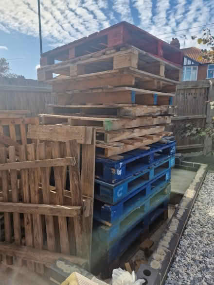 Photo of free Wooden pallets (IP1 6) #1