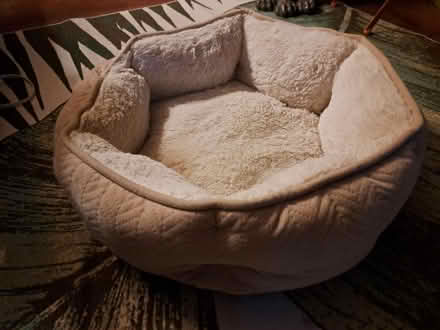 Photo of free Fleece Cat Bed (Brightwood-Takoma) #2